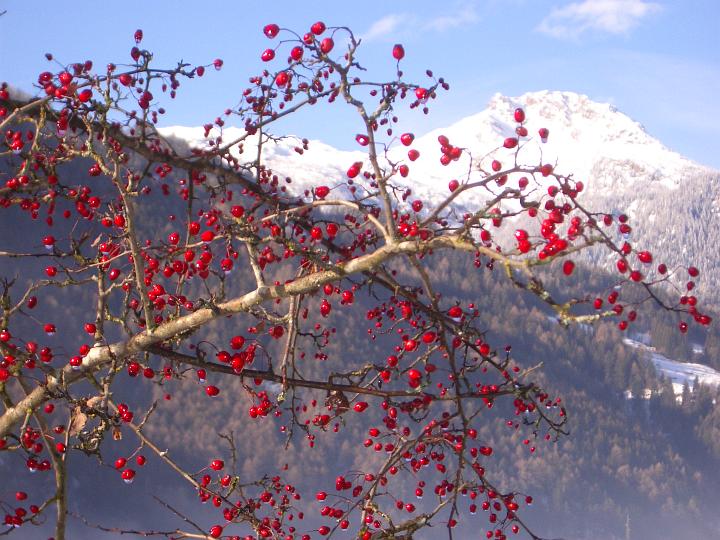 Foto imgp1830_720x540.jpg