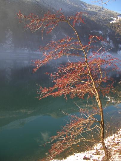 Foto imgp1841_405x540.jpg