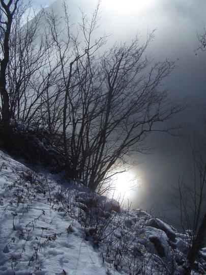 Foto imgp1842_405x540.jpg