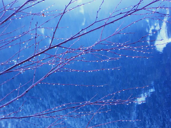 Foto imgp1861_720x540.jpg