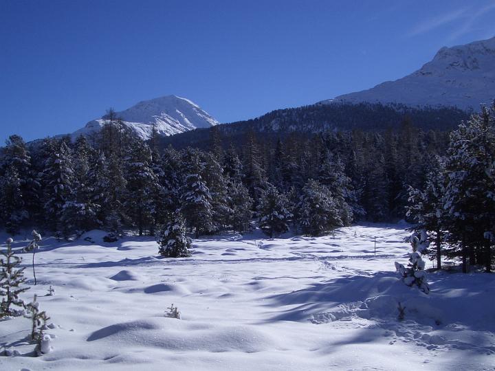 Foto imgp1873_720x540.jpg