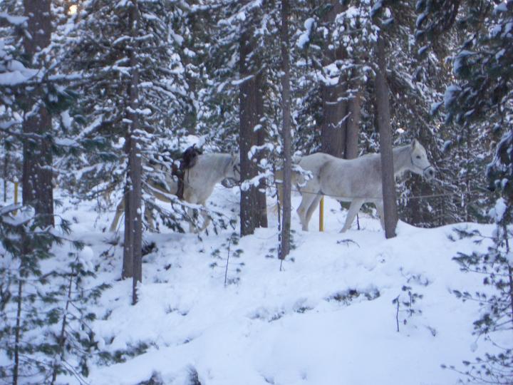 Foto imgp1874_720x540.jpg